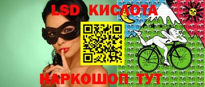 амф Сланцы