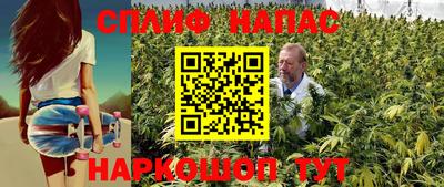 амф Сланцы